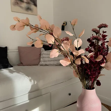 Balconia Sunny In Centre Of 贝尔格莱德